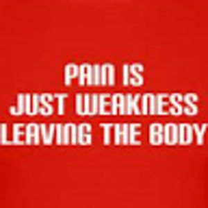 Meet your Posher, Steven